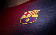 瓜子直播-探索细分市场：世俱杯赞助品牌市场拓展策略研究