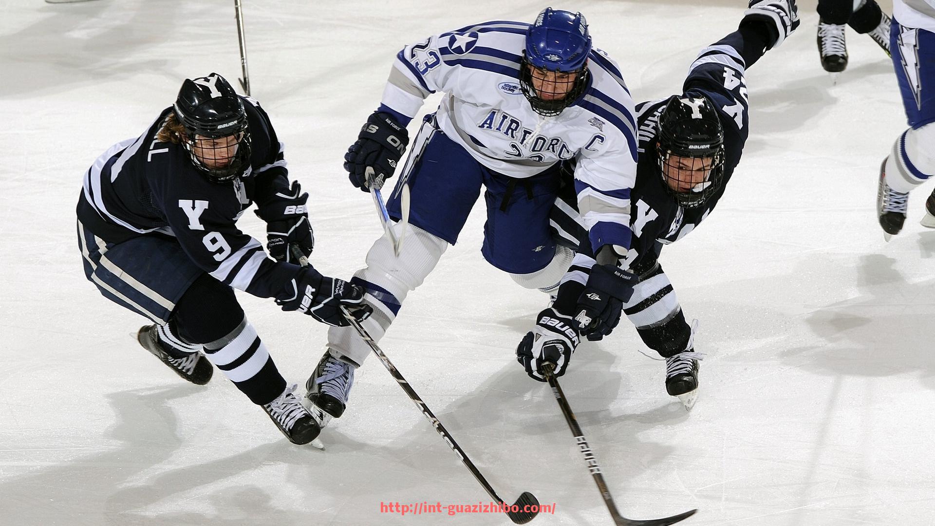瓜子直播-全面的健身器材大全包含哪些器械，如何根据需求选择？（健身器材大全所有器材的名字）